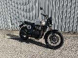 INTERCEPTOR BEAR 650 2025