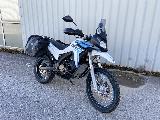 RALLY 300 2024