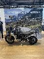 TIGER 900 RALLY PRO 2025