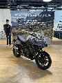 TIGER SPORT 800 2025