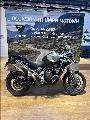 TIGER 1200 RALLY EXPLORER 2024