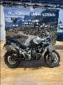 Triumph TIGER 1200 RALLY EXPLORER