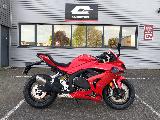 SRK 800 RR 2026