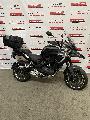 TRK 502 X 2022