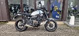 XSR 700 35KW 2025