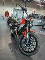 SCRAMBLER 2024