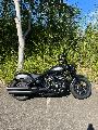 CHIEF BOBBER DARK HORSE 2026