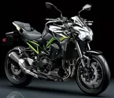 Motorcycle Kawasaki Z 900 2020