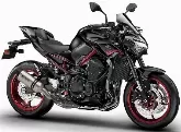 Motorcycle Kawasaki Z 900 Performance 2021