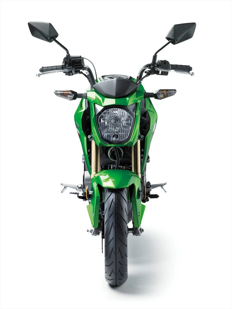 Kawasaki Z 125 pro 2016 - 15