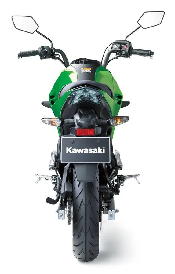 Kawasaki Z 125 pro 2016 - 6