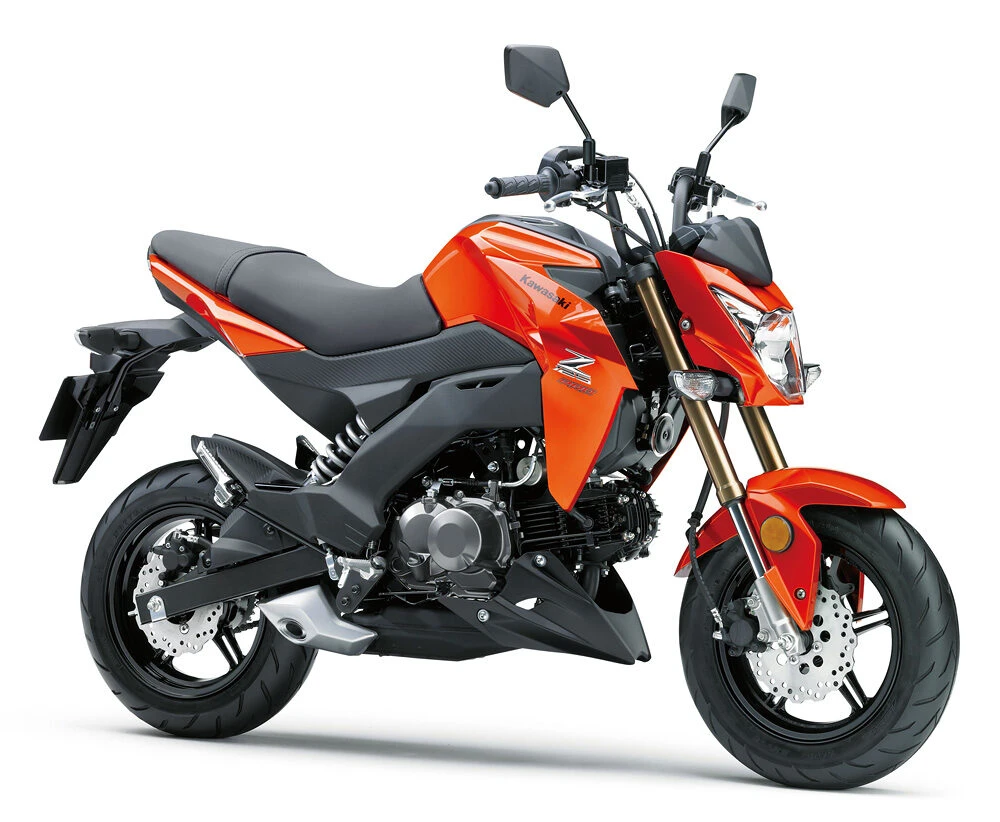 Kawasaki Z 125 pro 2016 - 12