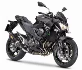 Motorcycle Kawasaki Z 800 Performance 2015