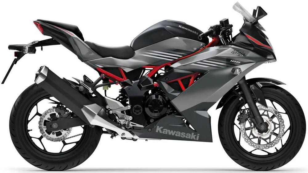 Photo de profil de la Ninja 125 2027 en couleur gris