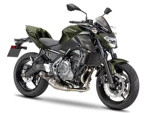 Profile photo of Z 650 Performance 2018 in color not defined.