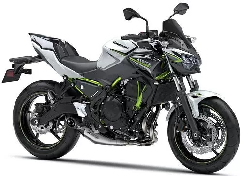 Profile photo of Z 650 Performance 2020 in color not defined.