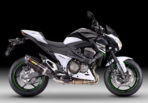 Foto de perfil del Z 800 Performance 2013 en color indefinido.