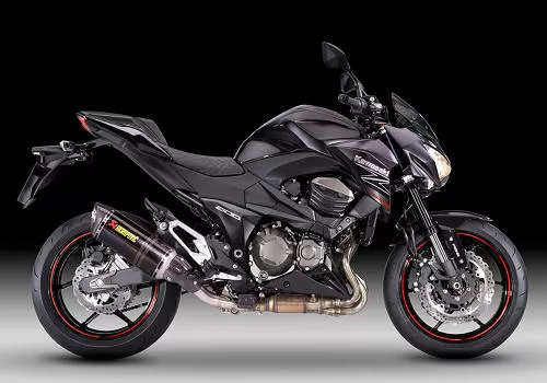 Foto de perfil del Z 800 Performance 2013 en color indefinido.