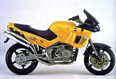 Foto del Laverda TTS 800 1999