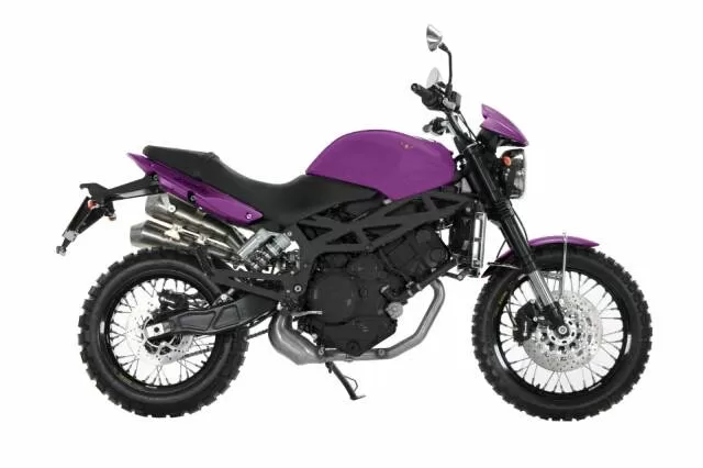 Profile photo of 1200 SCRAMBLER 2013 in color purple.