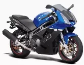 Moto MZ / MuZ 1000 S 2009