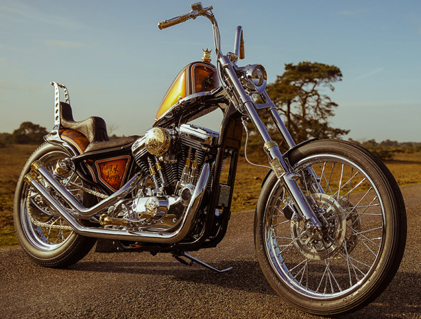 Une concession mexicaine remporte le H-D King of Kings 2020.
