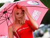 Les grid-girls du Superbike à Brno.