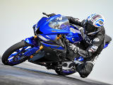 Une toute nouvelle Yamaha YZF-R 125 pour 2019.