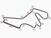 La FIM publie le calendrier définitif du World Superbike.