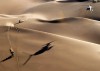 Dakar Etape 7 - "Chaleco" Lopez brille enfin à domicile.