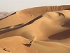 Marc Coma remporte l'Abu Dhabi Desert Challenge 2013.