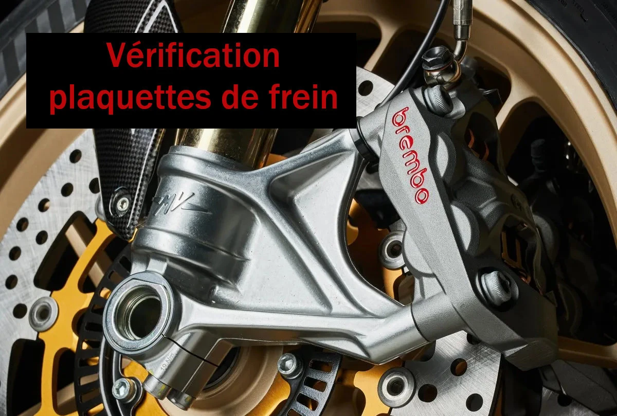 Zoom sur le système de freinage d'une MV Agusta 950 Brutale Oro signée Brembo