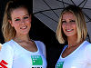 Galerie photos des demoiselles du SBK en Australie.