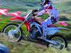 Premières images et infos sur la Honda CRF 450 R 2013.