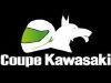 Coupe Kawasaki 2010 - "L'ER-6n Cup" !