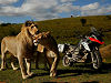 Les aventures de la BMW R 1200 GS dans un spectaculaire tour du monde.