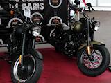 HARLEY et chevaux dans le même box au Prix d'Amérique.