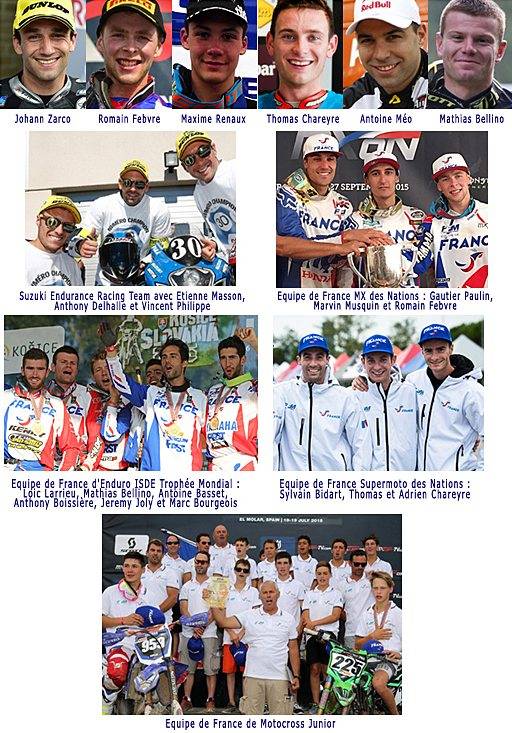 11 sacres mondiaux pour la France en 2015. Nouveau record !