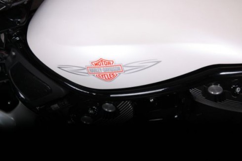IMG_9609 IMG_9609