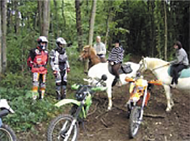 journeechemins (3)