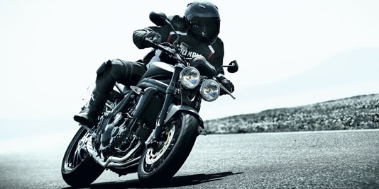 Triumphfidelite2