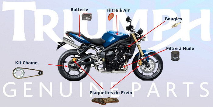 consommables-triumph consommables-triumph