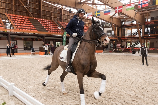 Le Mans Passion Share - Quand pilotes et cavaliers échangent leurs selles !