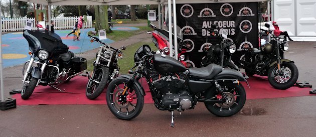 HARLEY et chevaux dans le même box au Prix d'Amérique.