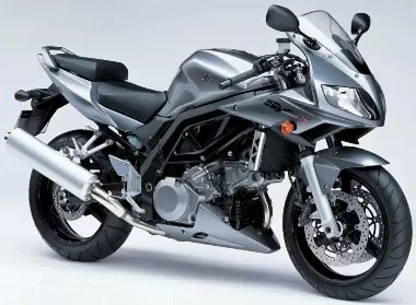 Photo of Suzuki SVS 1000 2005