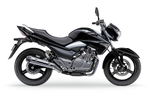Foto de perfil del GW 250 INAZUMA Urban 2014 en color indefinido.