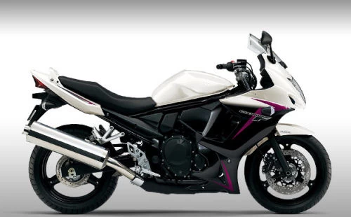 Photo de profil de la GSX-F 650 2010 en couleur blanc / noir