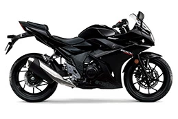 Foto de perfil del GSX 250 R 2019 en color indefinido.