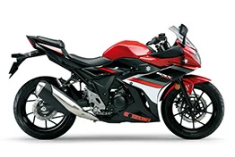 Foto de perfil del GSX 250 R 2019 en color indefinido.