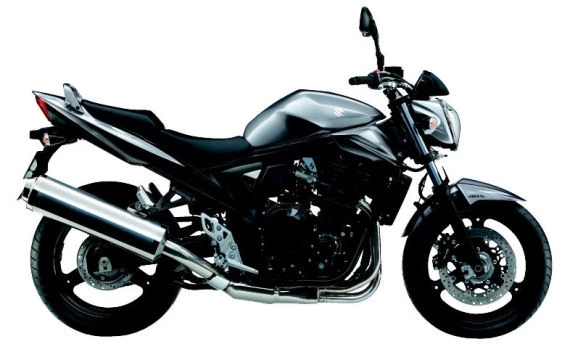 Profile photo of GSF 650 Bandit N 2009 in color grey.
